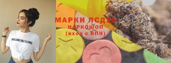 ГАЛЛЮЦИНОГЕННЫЕ ГРИБЫ Алзамай