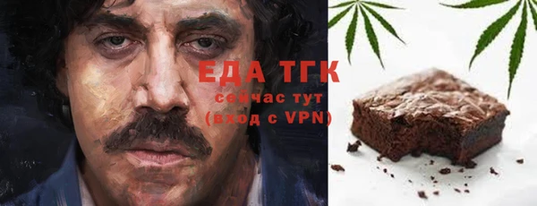 стафф Гусев