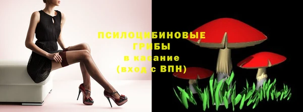твердый Алексин